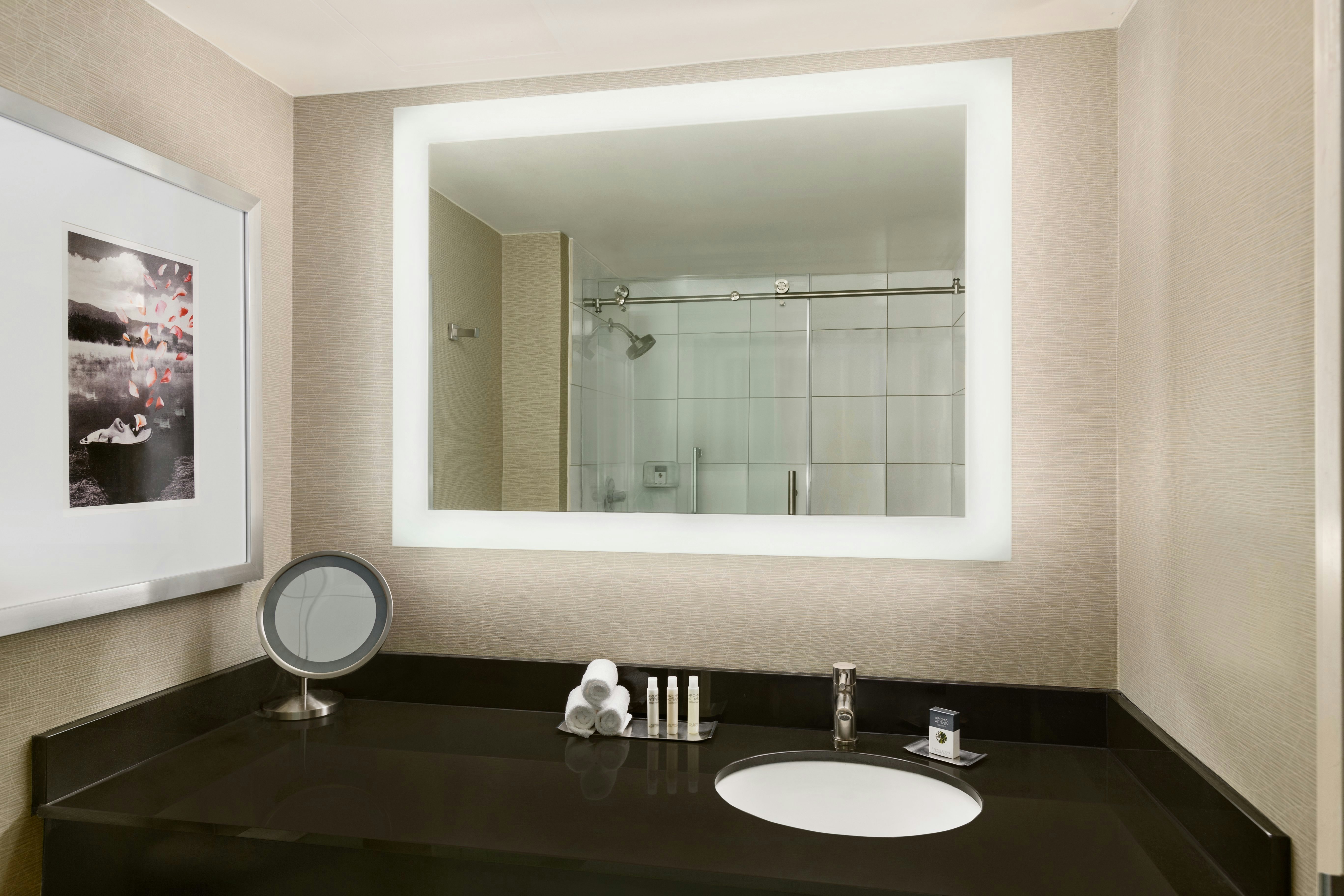 Doubletree By Hilton Detroit Novi 73/74