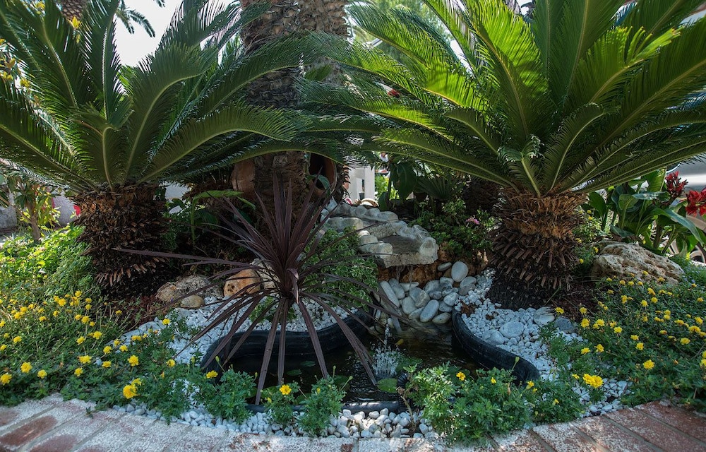 Le Palme Village 46/50