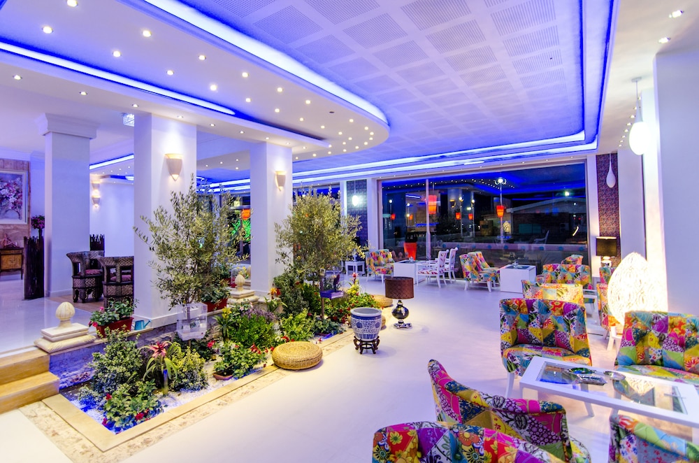 Phoenicia Luxury 6/55