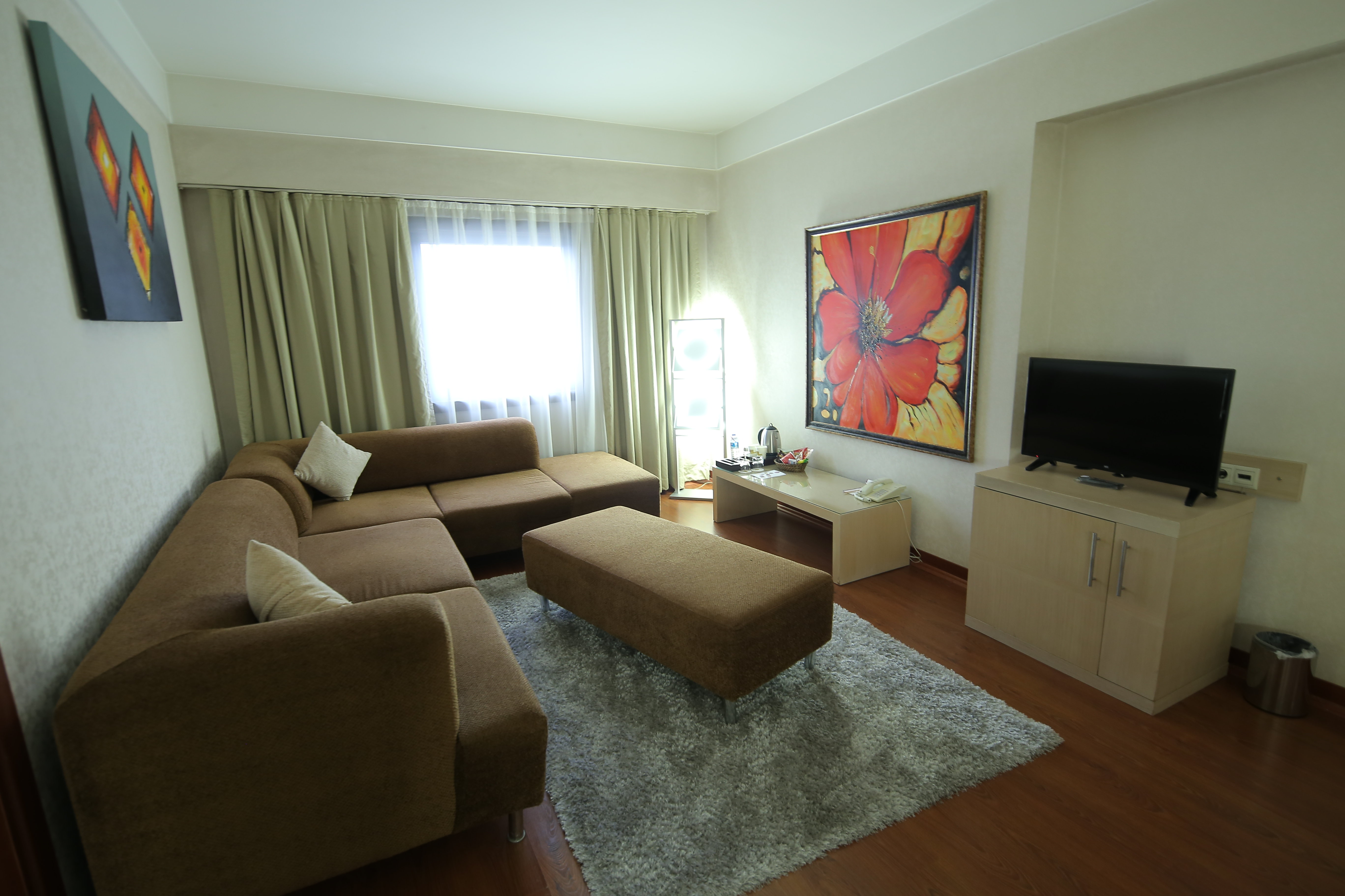 Hotel Anemon Eskisehir 31/54