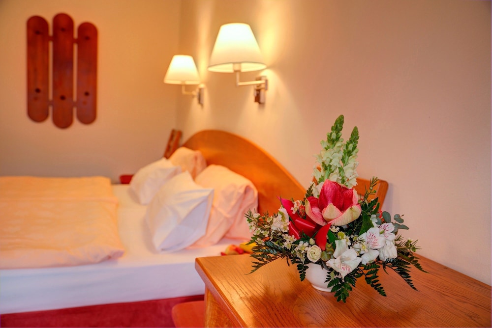 Park Hotel Pruhonice 18/50