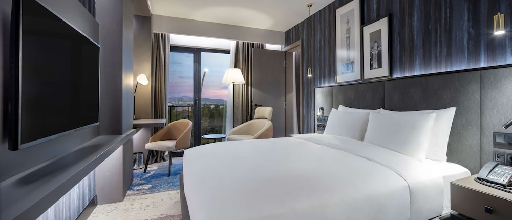 Radisson Hotel Izmir Aliaga 20/68