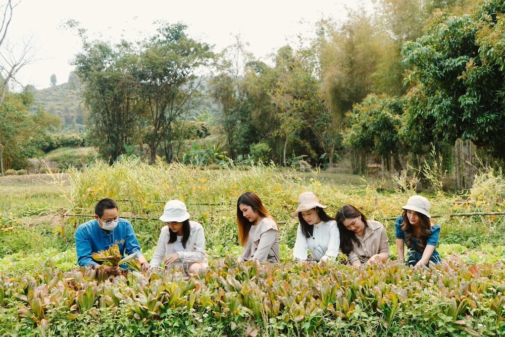 Aum Hum Homestay 40/50