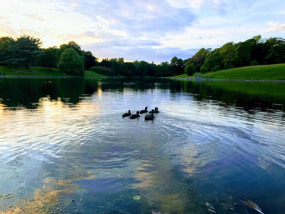 SEFTON公园酒店(SEFTON PARK) 图片3