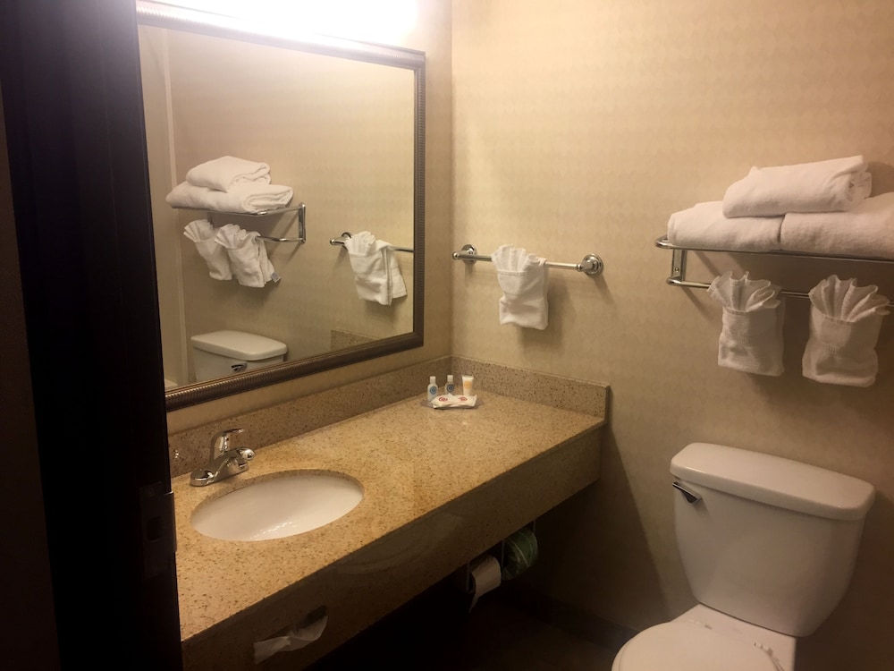 Comfort Inn and Suites Harrisonville 18/48