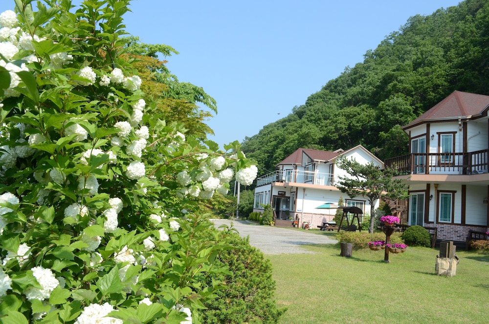 Forest Of Color Pension 44/50