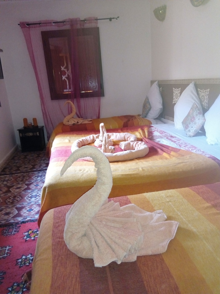 Riad Zaid 18/50