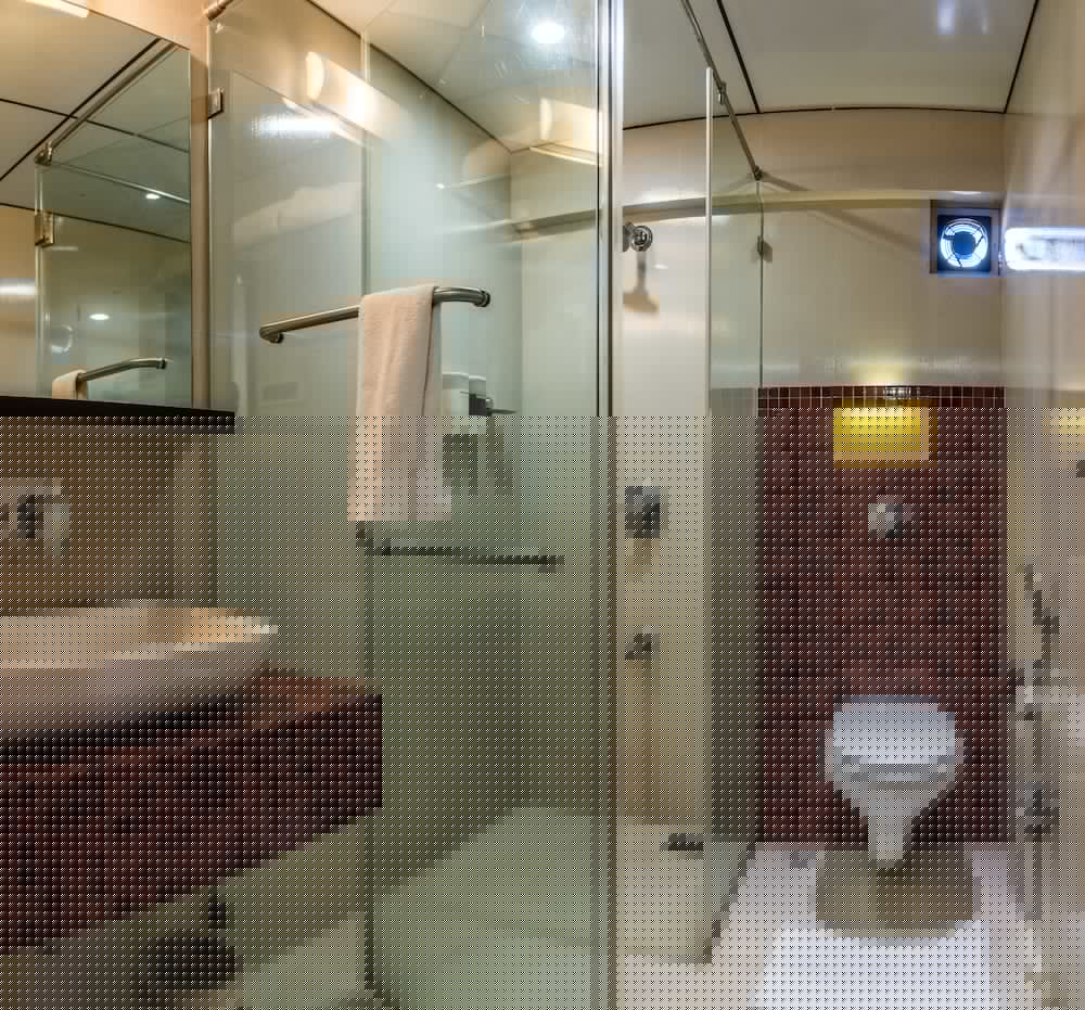 Hotel Oriental Aster 19/52