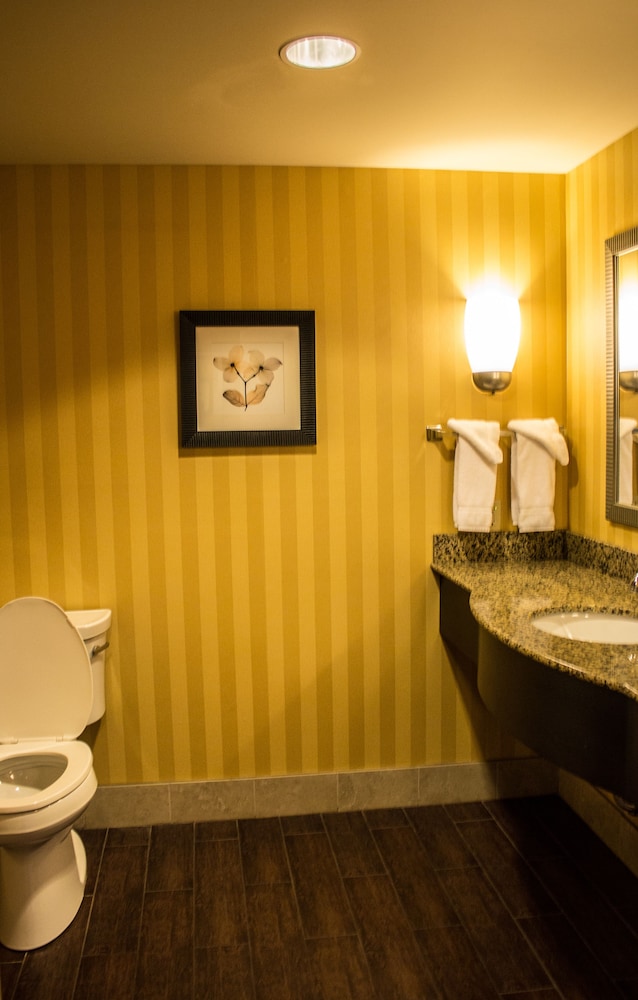 Hilton Garden Inn Pittsburgh/Cranberry 17/43