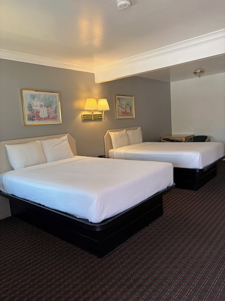 Lark Motel 6/53