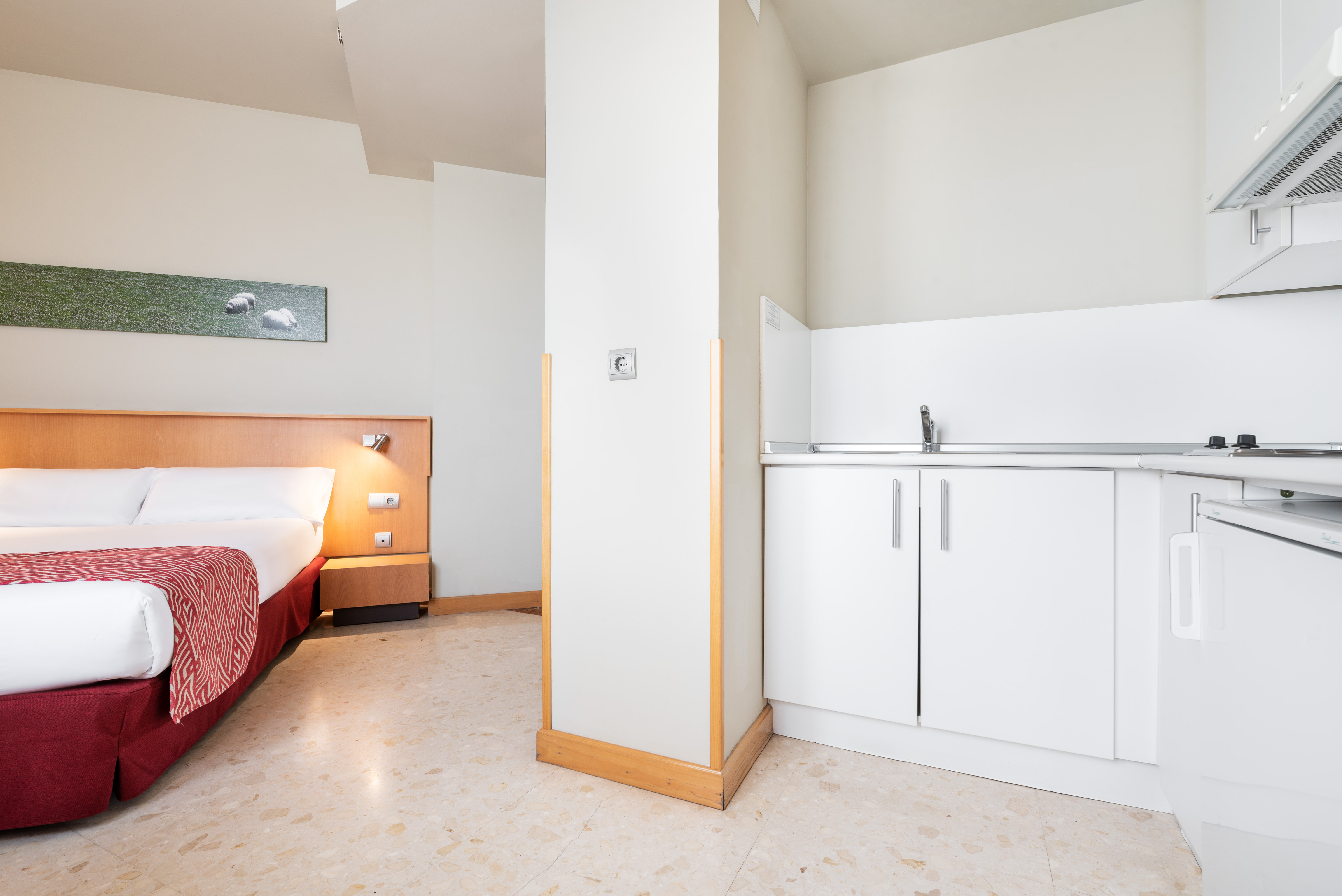 APARTAHOTEL EXE CAMPUS SAN MAMES 8/47