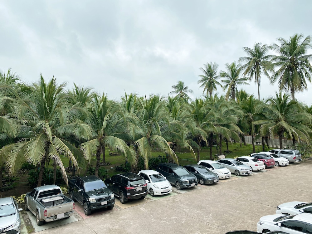 The Coconut Hotel 44/52