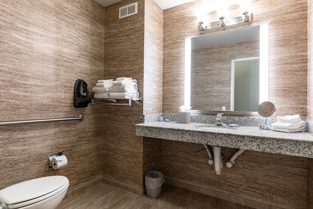Holiday Inn Express & Suites New Martinsville 35/73