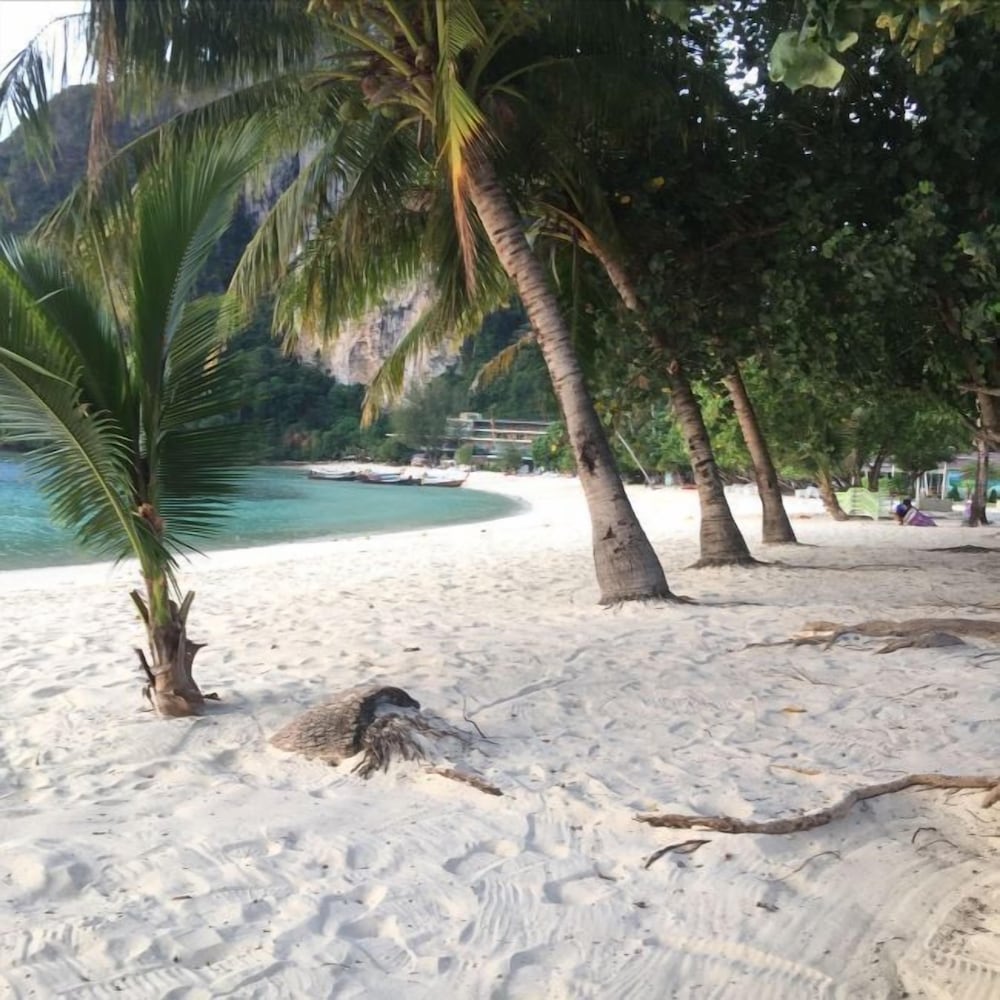 PHI PHI DREAM 27/39