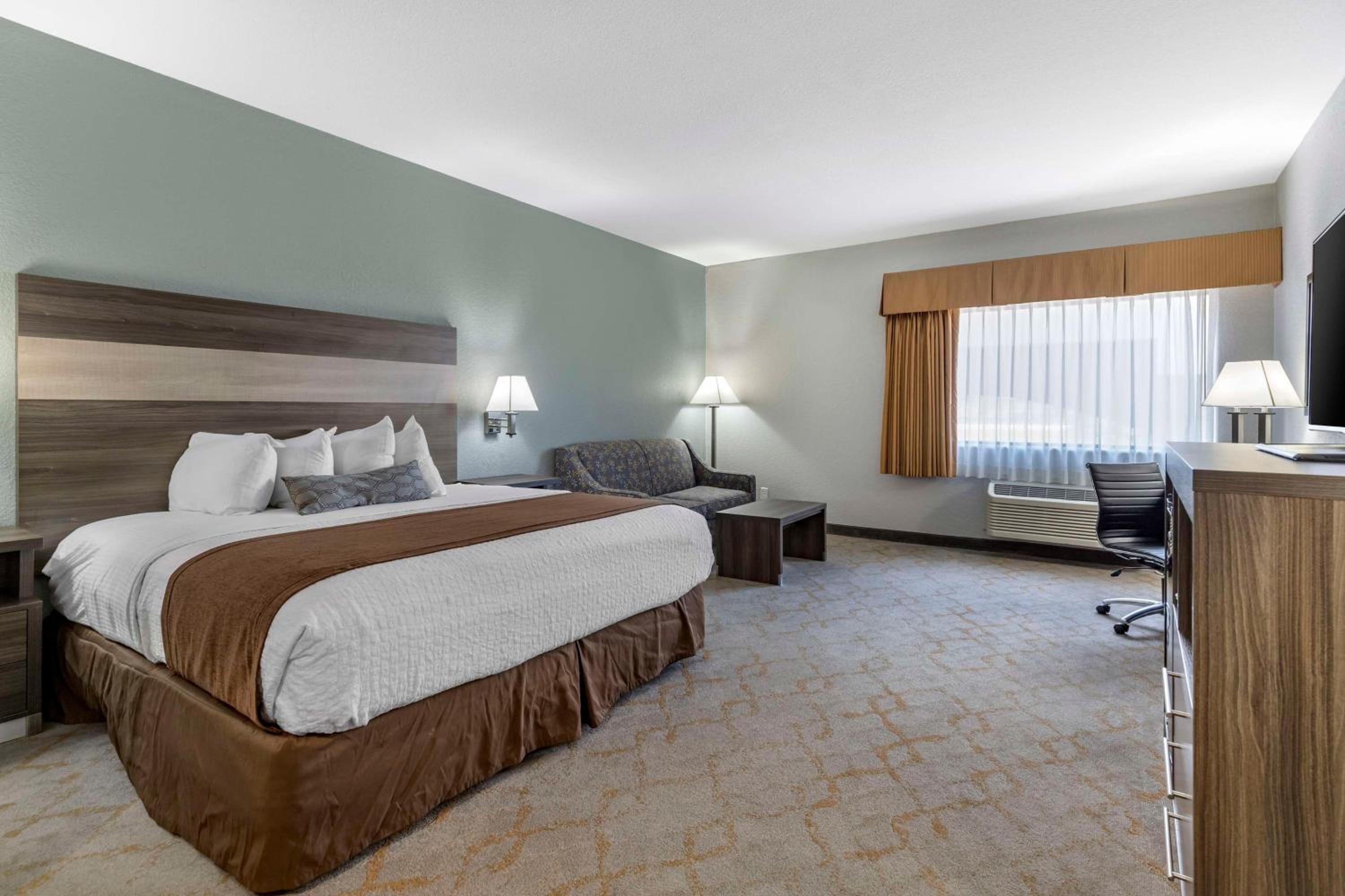 Suite, King Bed, Sofa