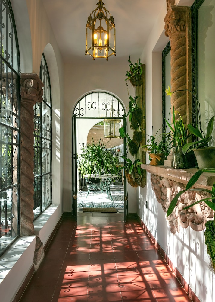 Orchid House 14/82