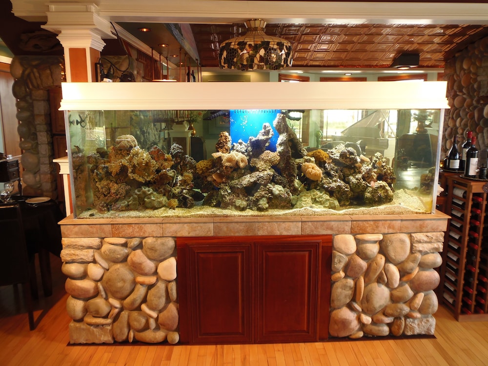 The Collins Inn And Seaside Cottages - Adults Only 44/77