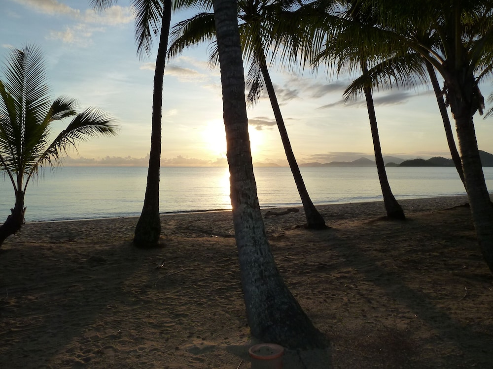 Palm Cove Tropic Apartments 21/26