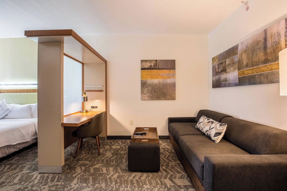 Springhill Suites Houston Rosenberg 31/47