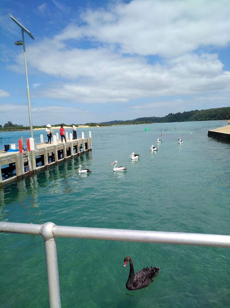 Abel Tasman Waterfront Motel 56/65