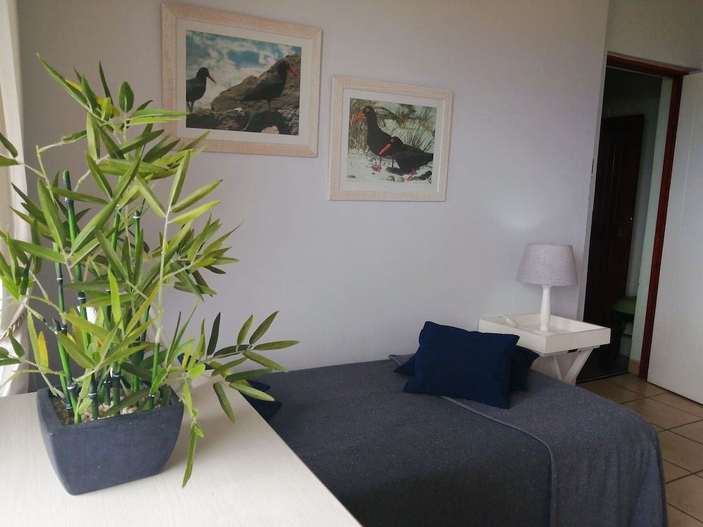 Amzee Bokmakierie Guest House 48/72