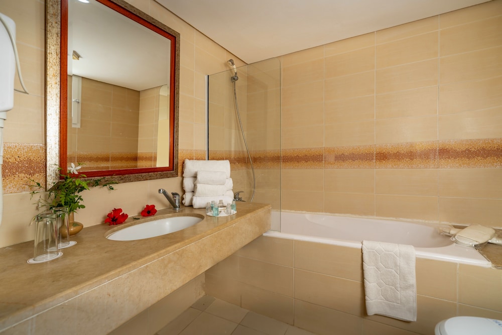 Le Hammamet Hotel 43/43