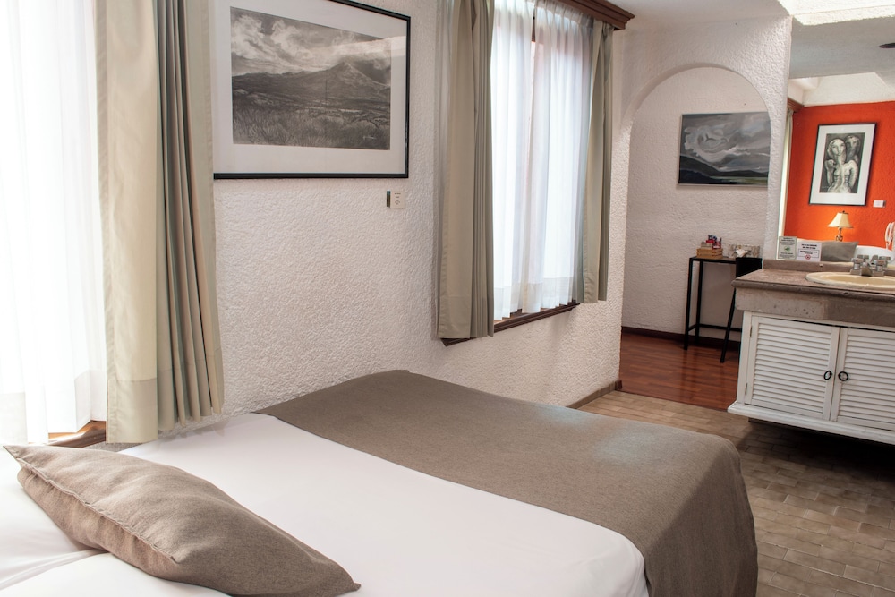 Portico Cultural Hotel 17/63
