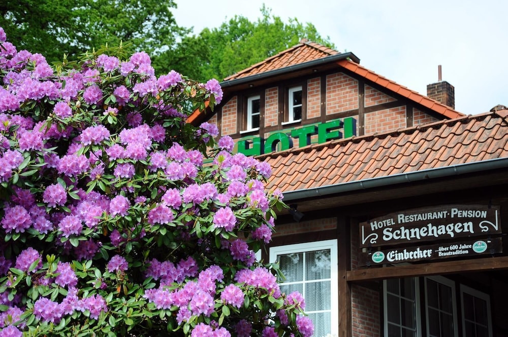 Hotel Schnehagen، فالزروده 1/50