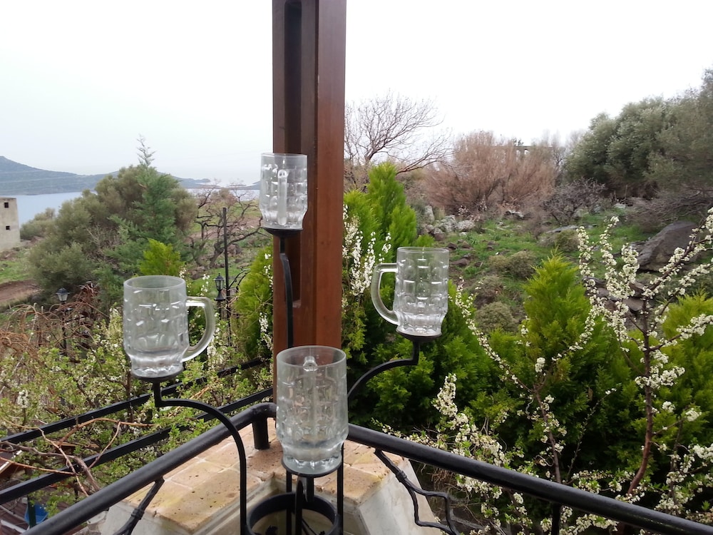 Tasev Butik 45/50