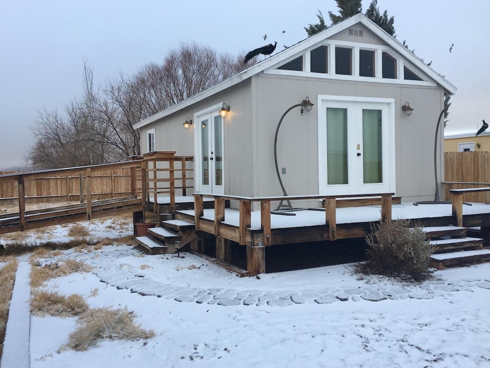 Shady Lady Bed & Breakfast 4/61