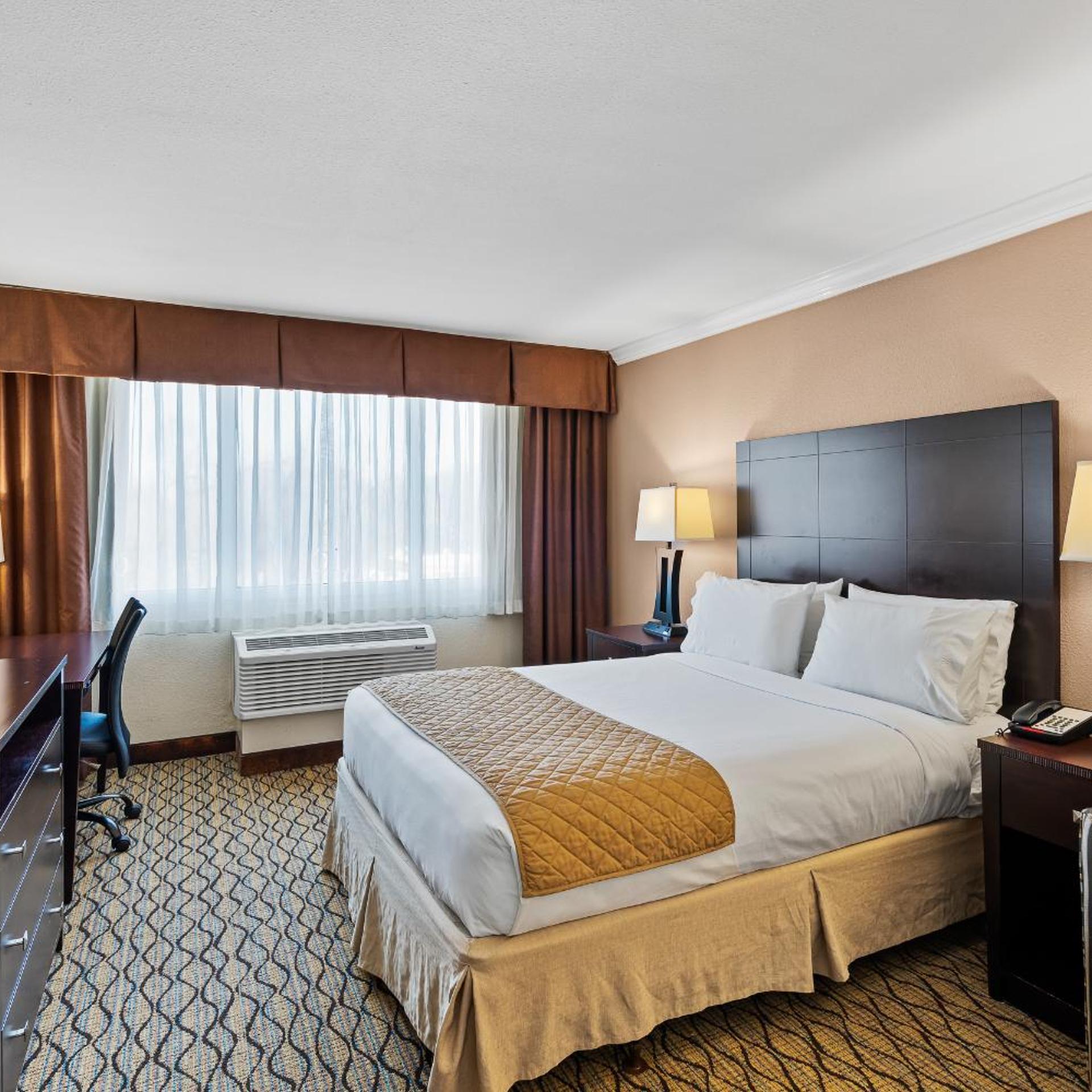 Room, Queen Bed, Accessible