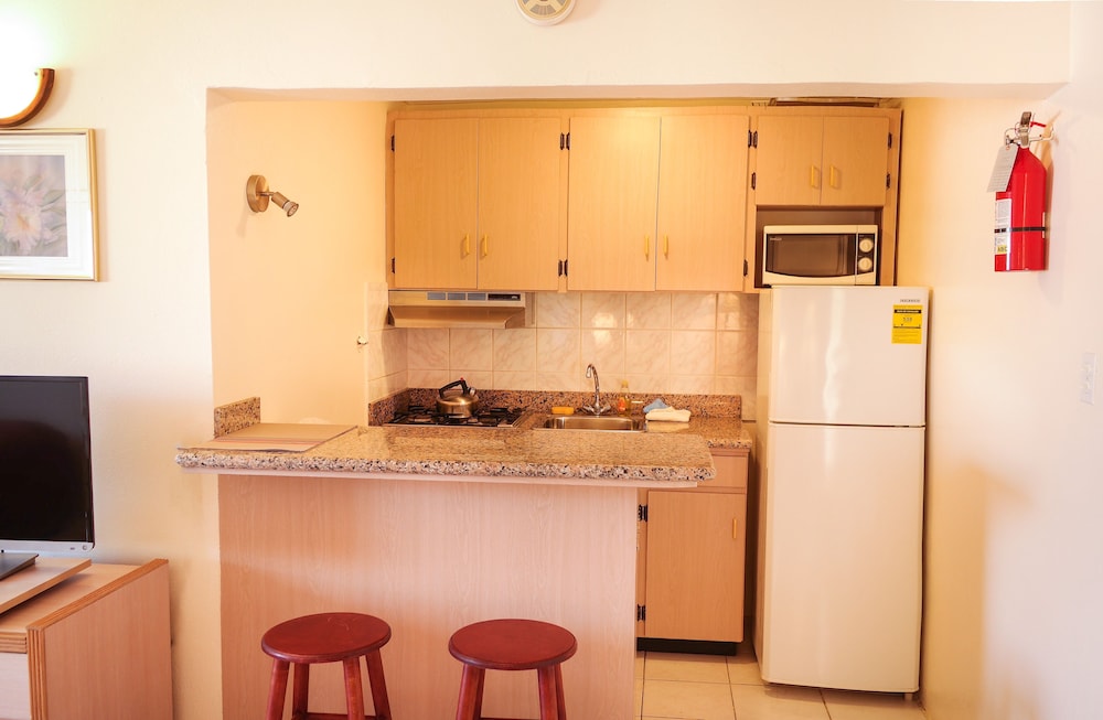Sasaki Apartments 9/50
