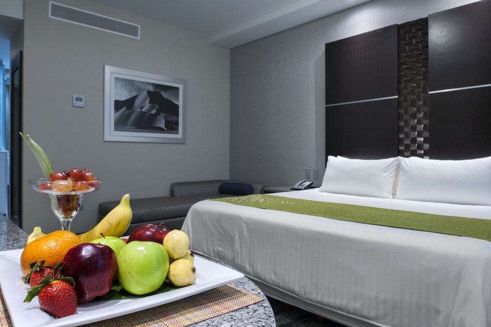 Hotel Araiza San Luis 31/74