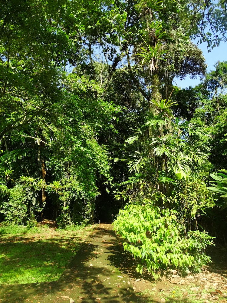 La Selva Biological Station 44/50