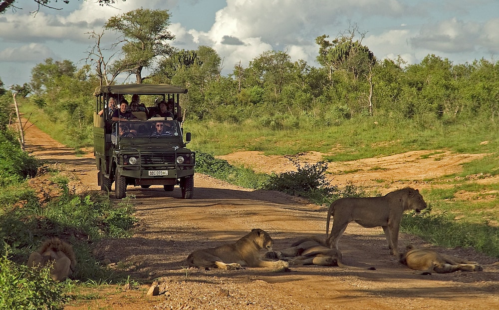 Mjejane River Lodge 50/58