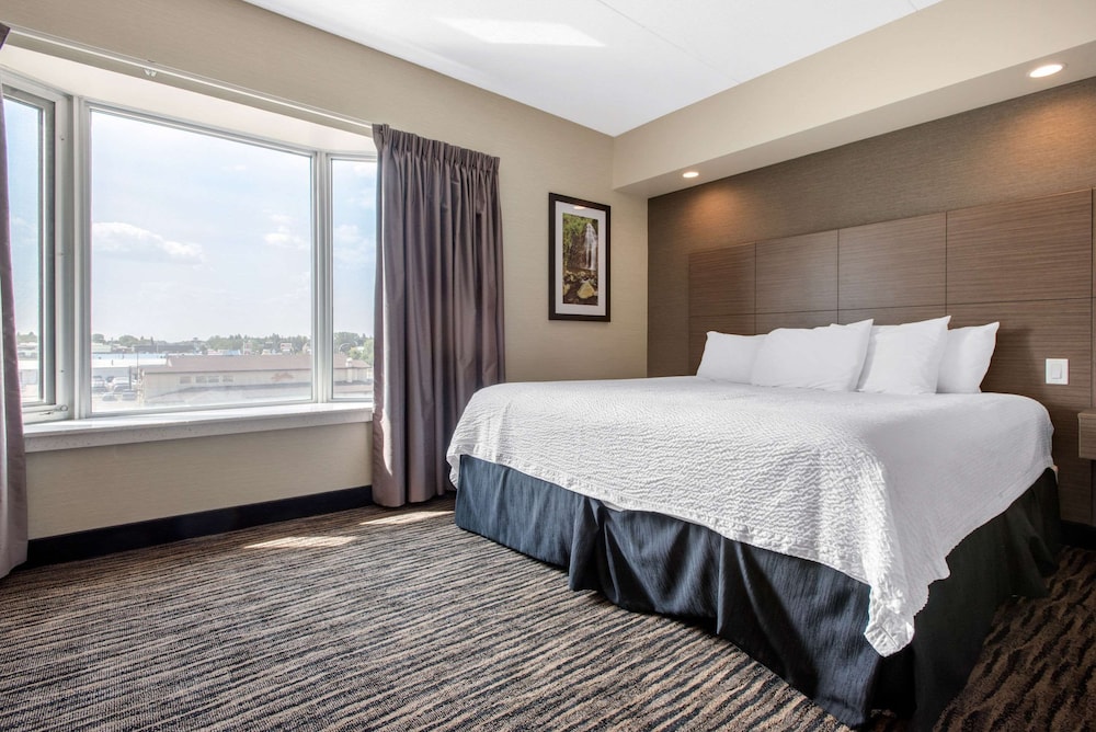 Ambassador, Suite, King Bed, Sofa