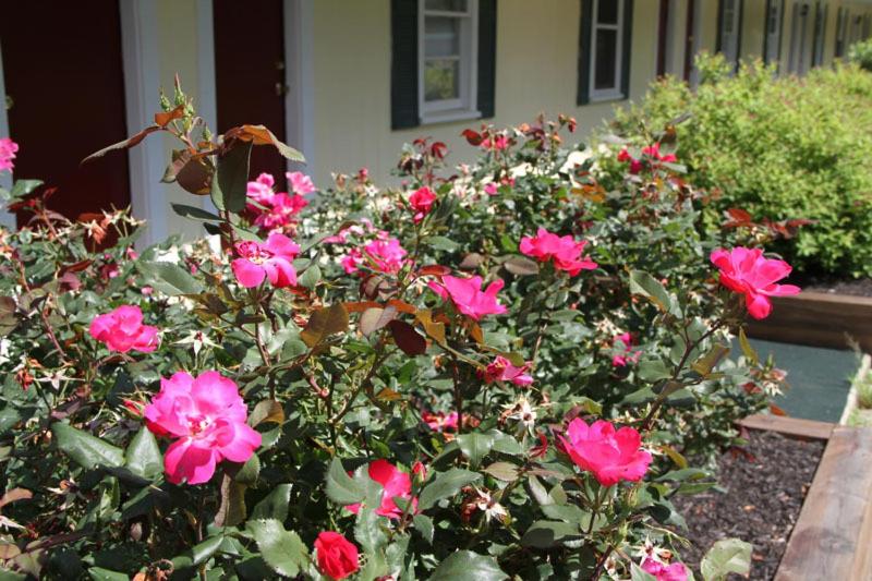 Lodge at Kennebunk 20/25