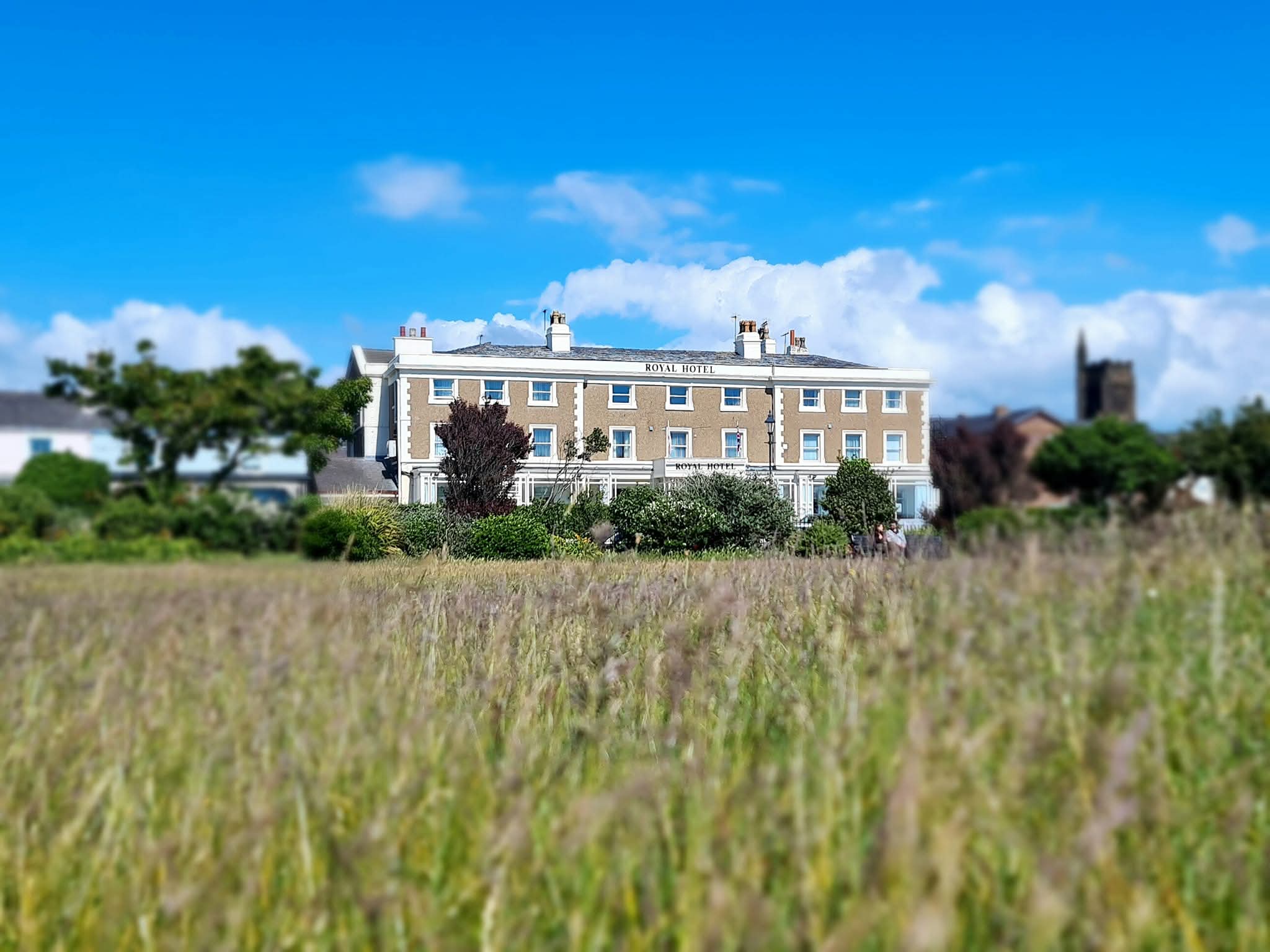 The Royal Hotel 37/49