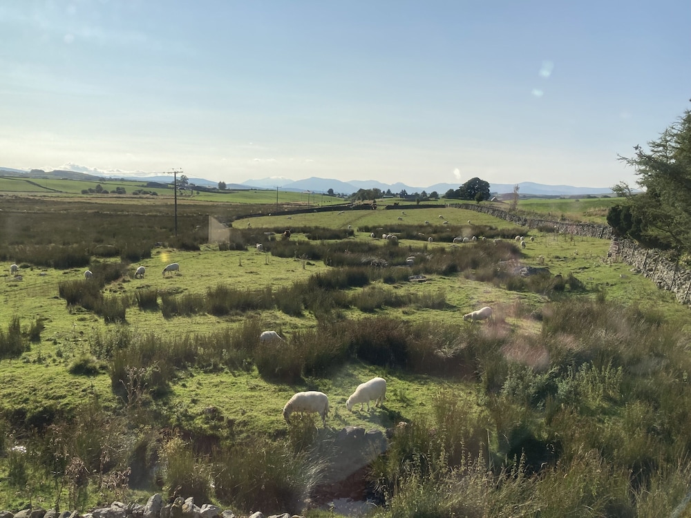 Llwyn Onn Guest House 34/50
