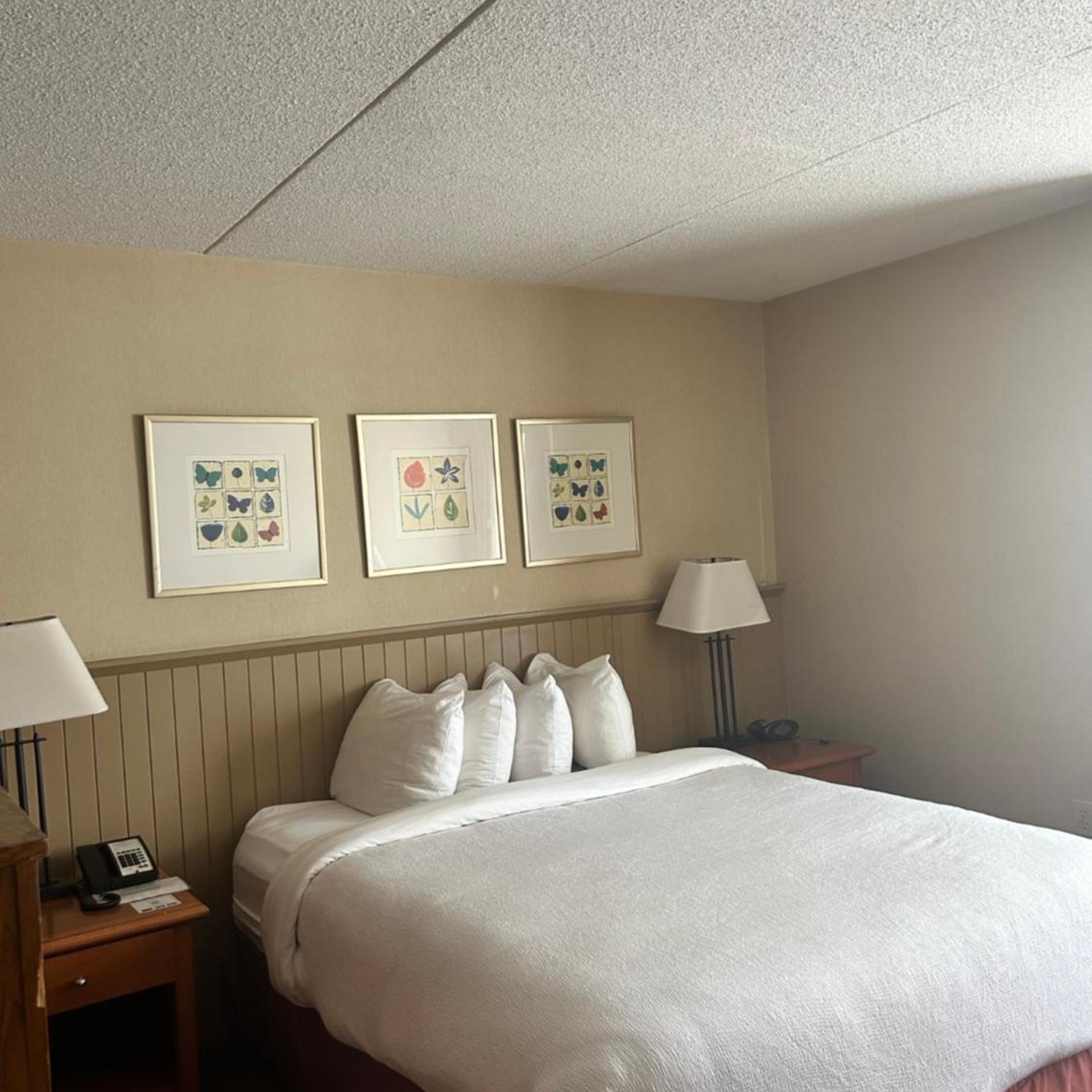 Basic, Studio, King Bed, Queen Bed, North Wing