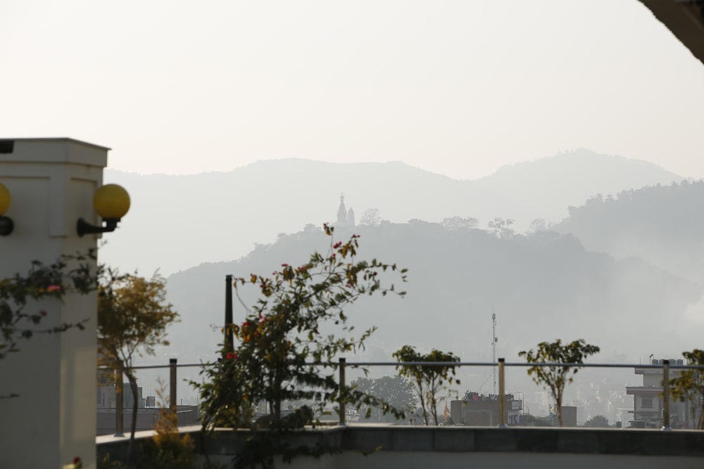 surroundings