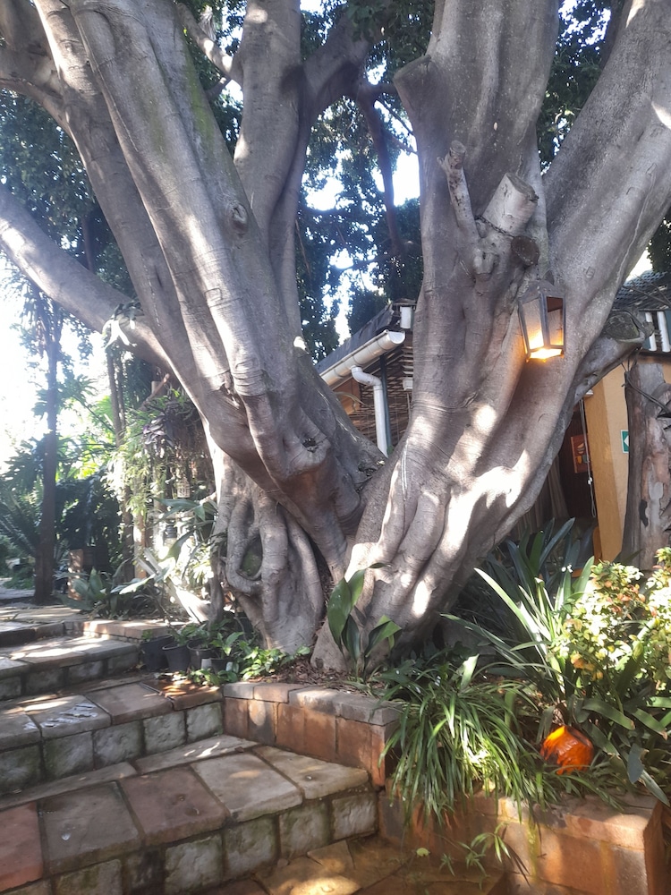 Breena Bnb Guest House 2/50