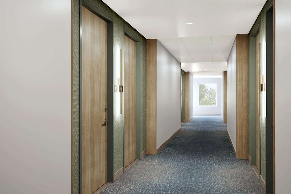 Wyndham Garden Orlando Airport 25/52