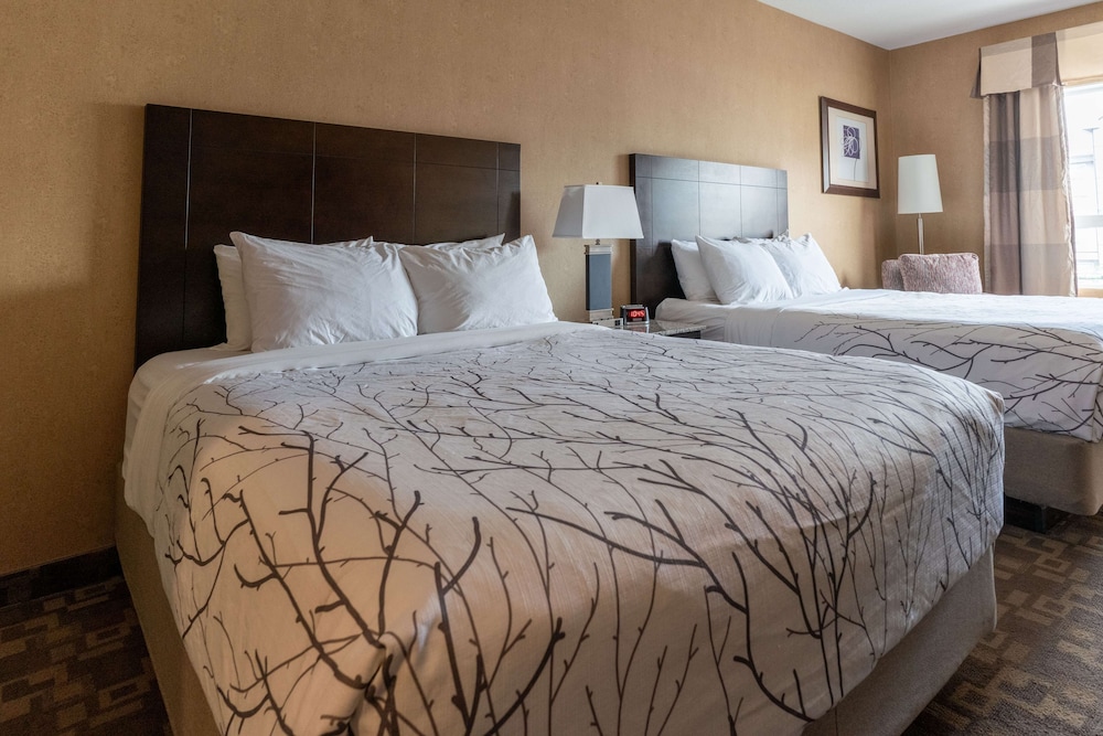 Family Suite, 2 Queen Beds, Sofa
