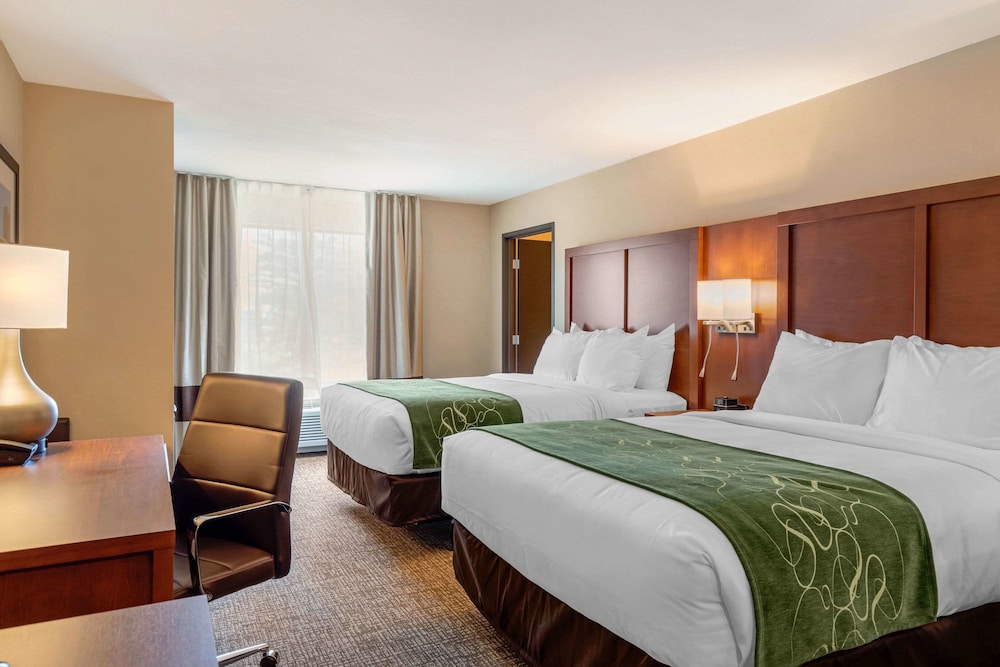 Comfort Inn Suites Schenectady - Scotia 11/44