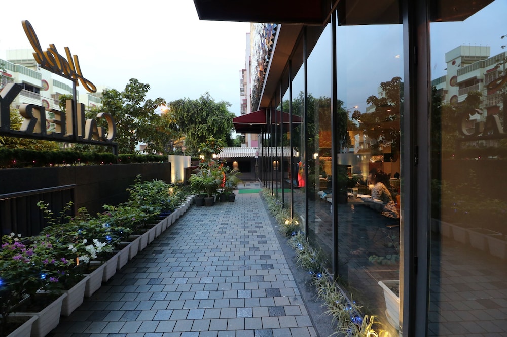 Gallery 67 30/41