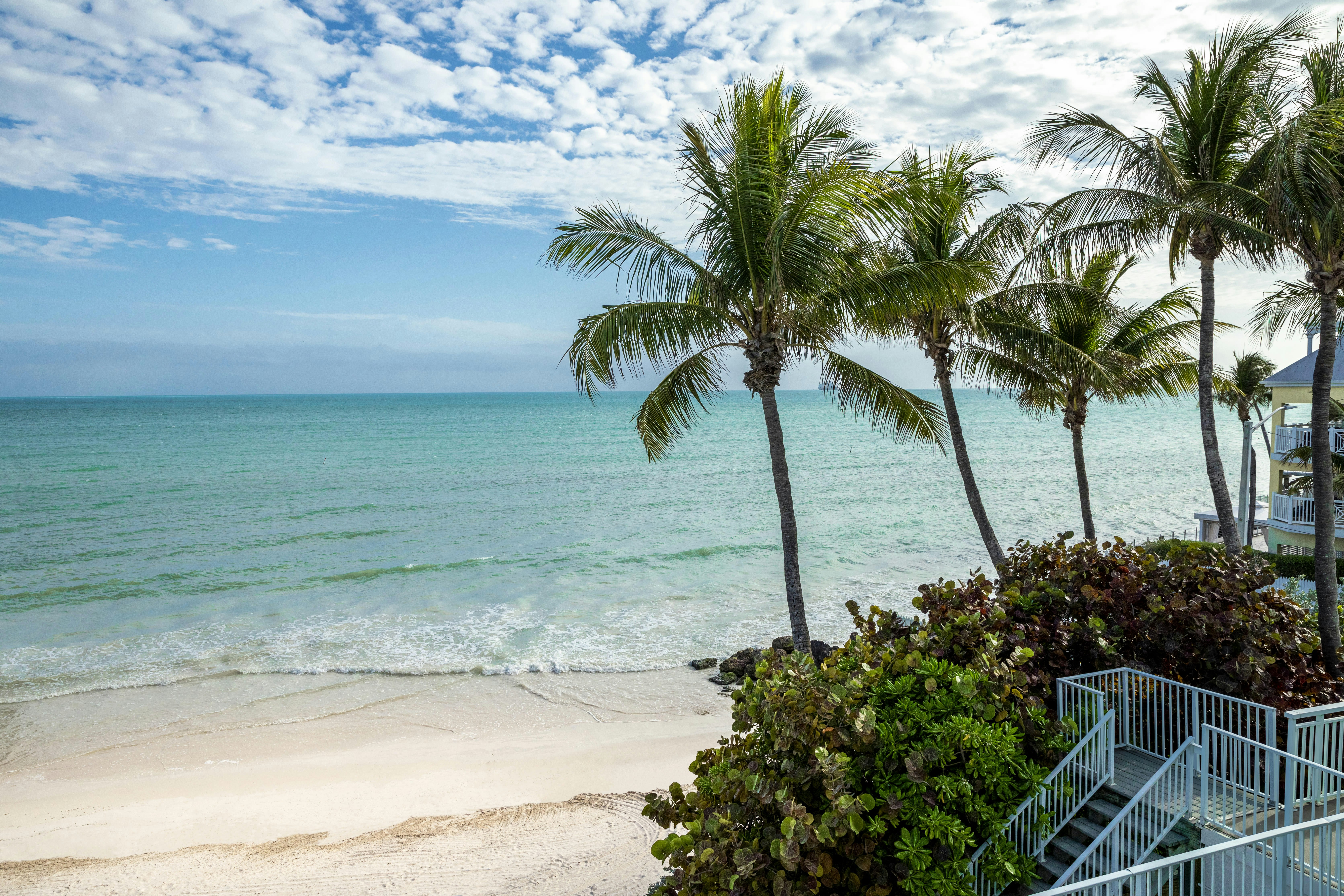 The Reach Key West Curio Collection By Hilton 39/50