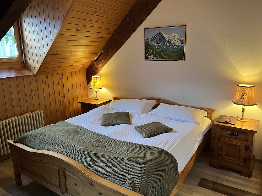 Historic Hotel Steinbock 9/50
