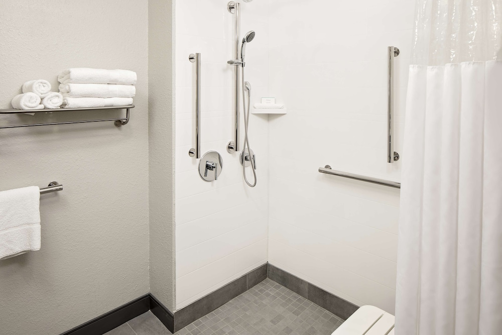 Hampton Inn & Suites Houston-Medical Ctr-Reliant Park 16/44