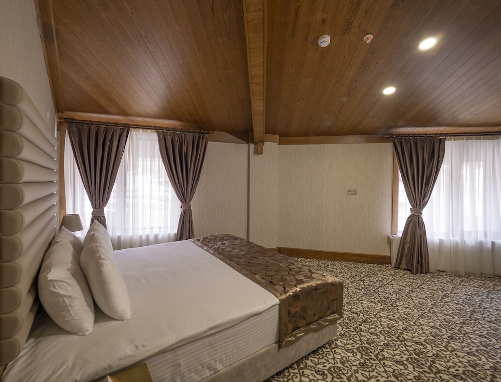 Balsoy Mountain Hotel 11/37